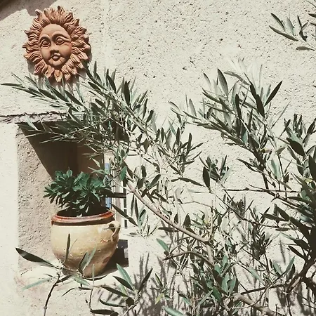 Сasa de vacaciones La Terrasse D'olea, Au Coeur Du Village Buis-les-Baronnies