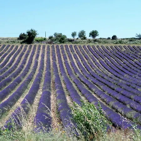La Terrasse D'olea, Au Coeur Du Village Сasa de vacaciones *
