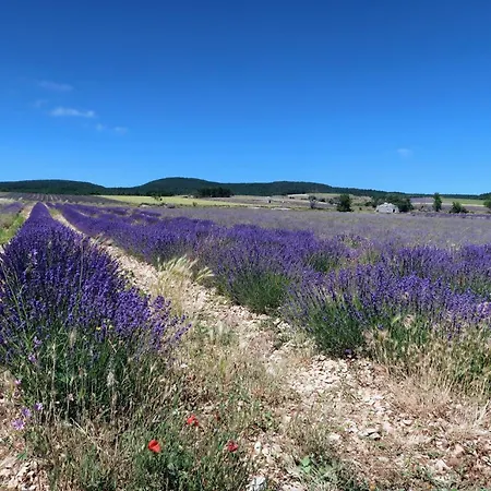 La Terrasse D'olea, Au Coeur Du Village Сasa de vacaciones *